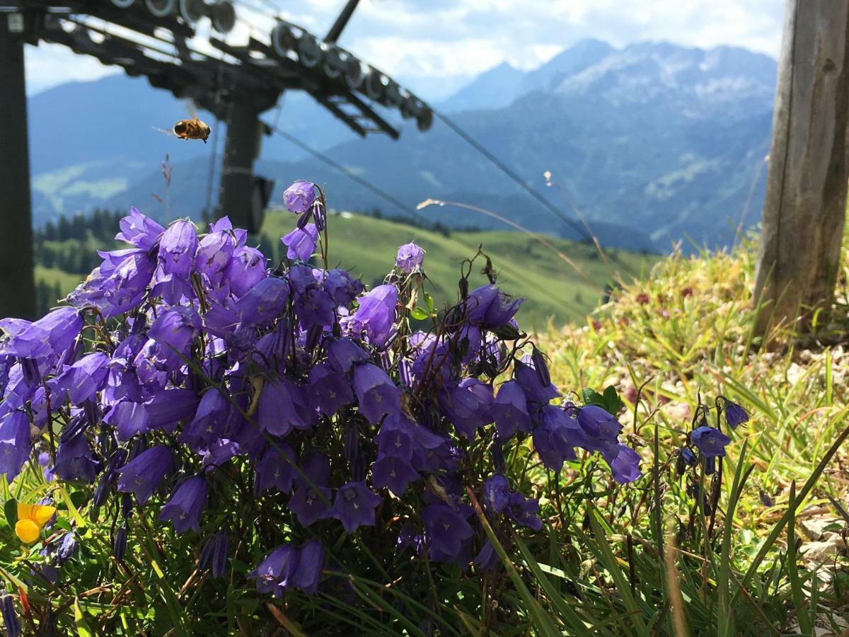 Ferienwohnung Kogelblick Gosau Bagian luar foto