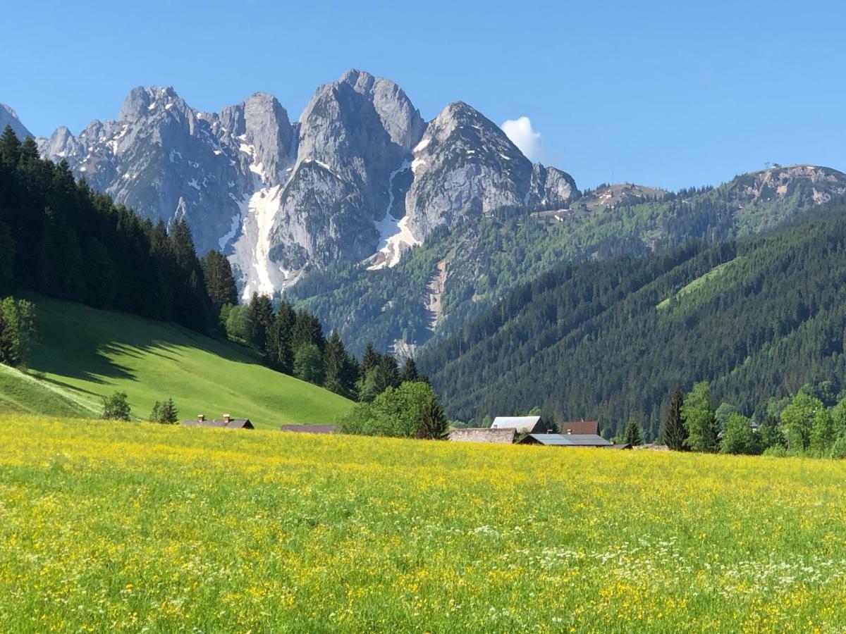 Ferienwohnung Kogelblick Gosau Bagian luar foto